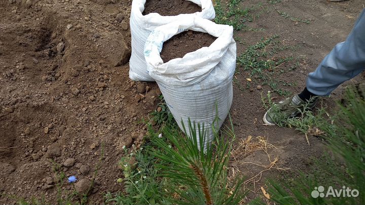 Чернозем полевой,перегной крс 2г,доставлю,1/15т