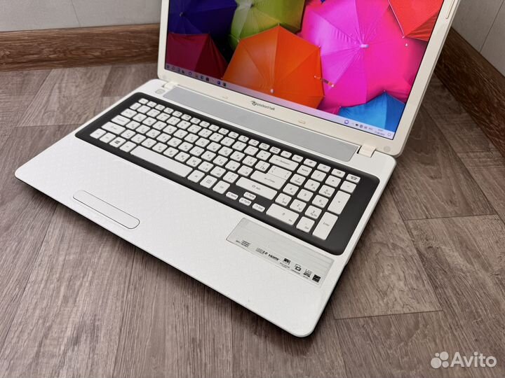 Packard Bell Большой/Мощный (17.3/Core i3/8Gb/SSD)