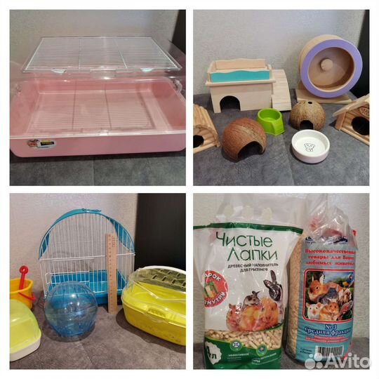 Всё необходимое для содержания сирийского хомяка