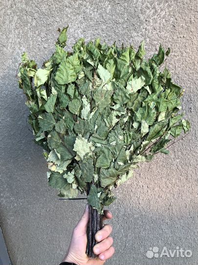 Березовые веники для бани