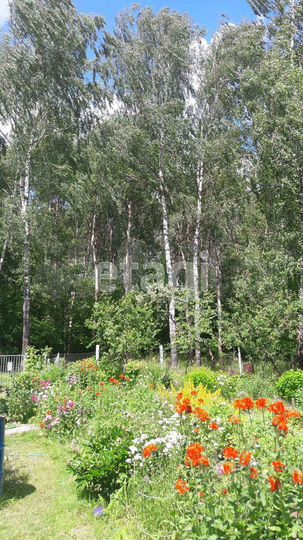 Дом 73,2 м² на участке 6 сот.