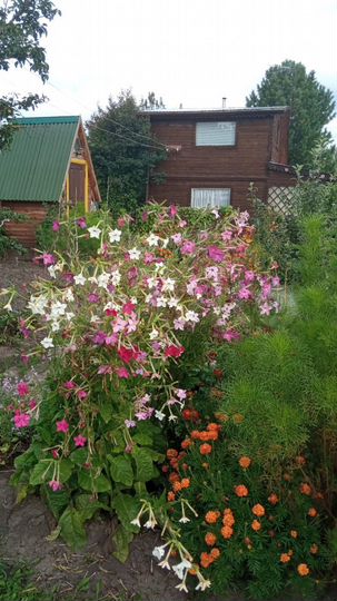 Дача 60 м² на участке 12 сот.