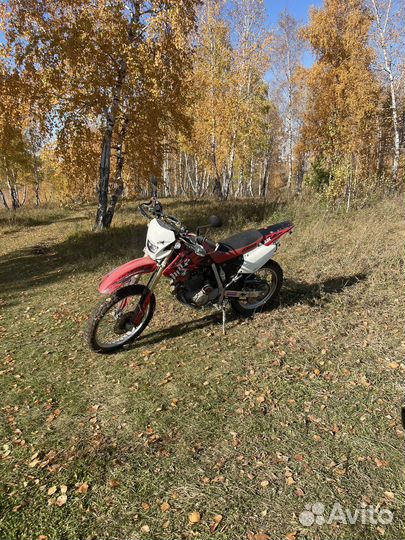 Honda xr250