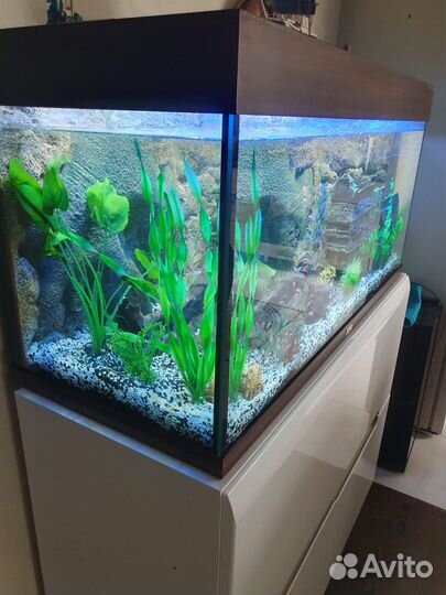 Аквариум juwel 180