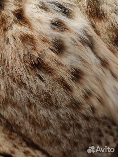 Шуба из оцелота летучая мышь оверсайз