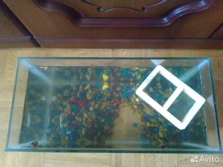 Аквариум на 10л