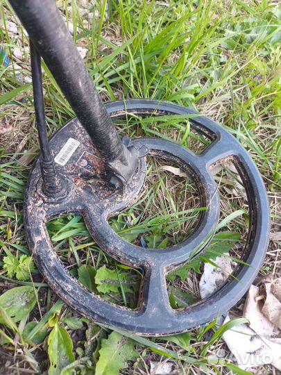 Металлоискатель minelab x terra 305