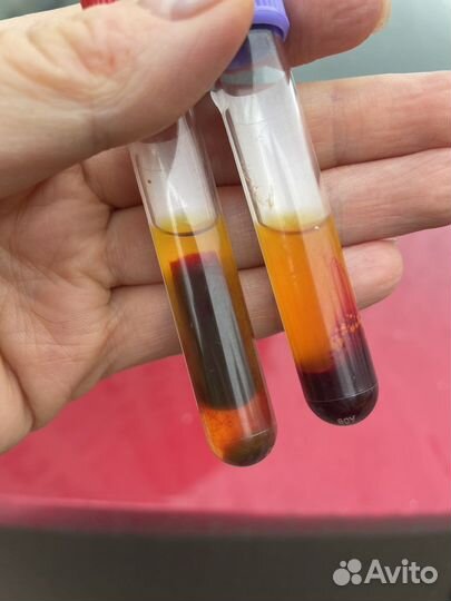 Ветеринарная консультация