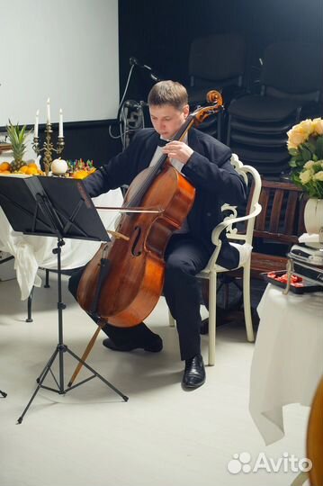 Уроки игры на виолончели