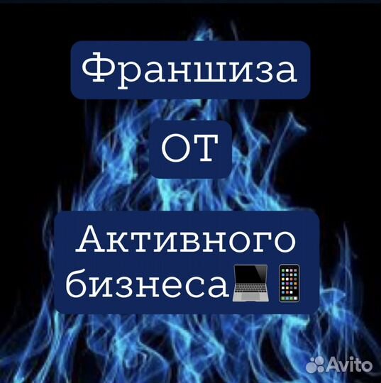 Франшиза 16. Заработок