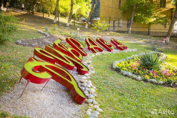 Минеральные воды отдых с лечением