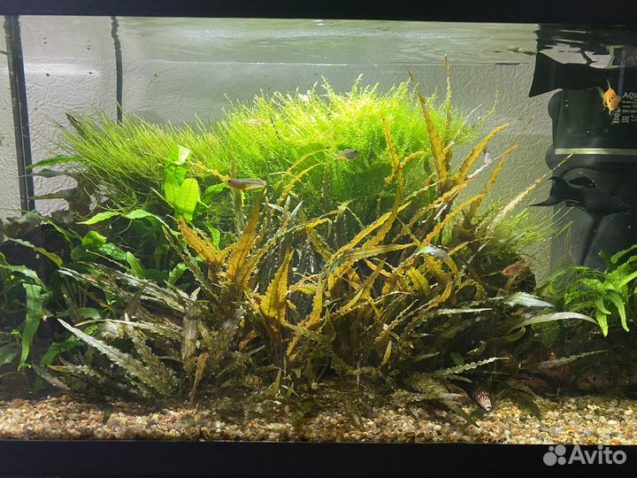 Аквариум с тумбой