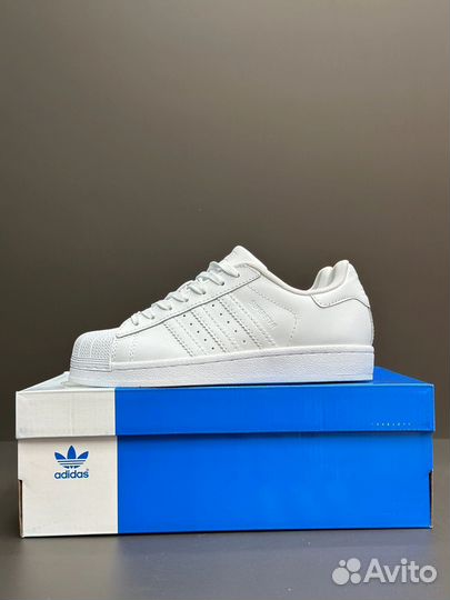 Adidas superstar