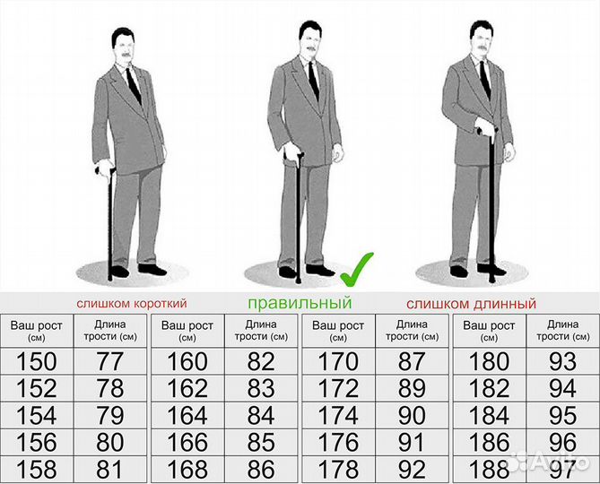 Новые трости