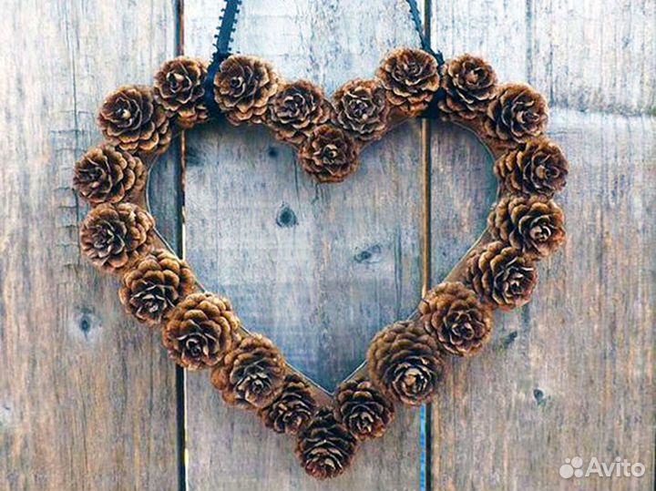 Шишки сосны/флористика/набор для поделок