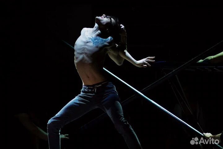 Билеты 1/2 Реверс Акрабатический спектакль