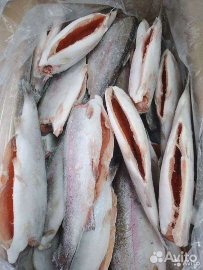 Рыба морепродукты морская речная