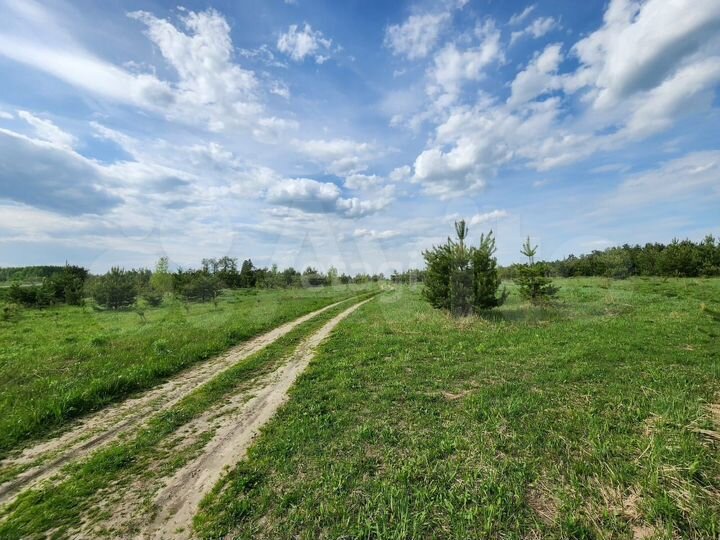 Участок 5,58 га (СНТ, ДНП)