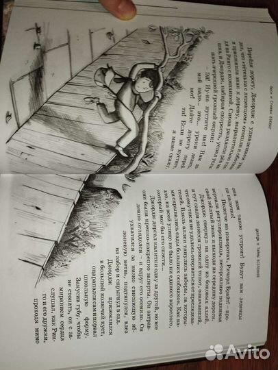 Люси и Стивен Хокинг: 