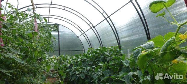 Теплица 3 х 6 м