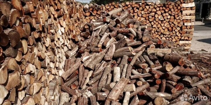 Дрова осина