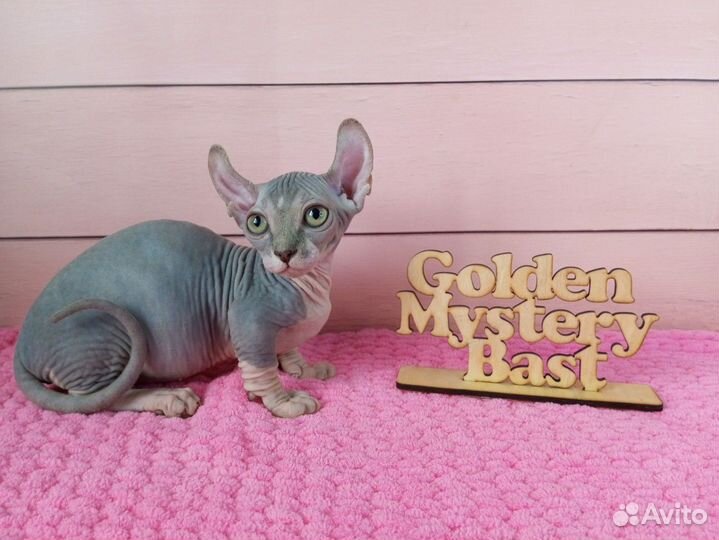 Сфинкс Двэльф