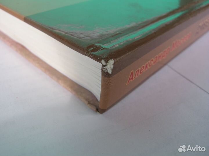 Мосеев А.Е. Диверсионный отдел действует