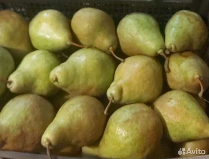 Груши