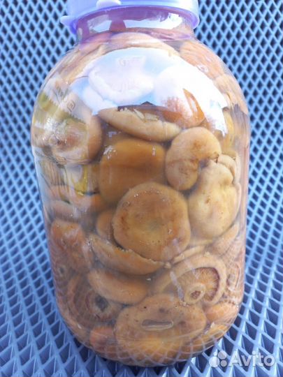 Грибы рыжики соленые