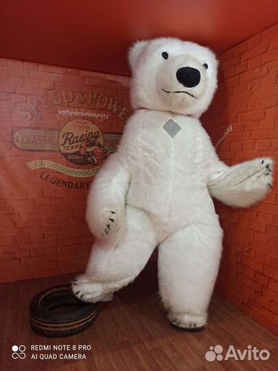 Белый мишка поздравление