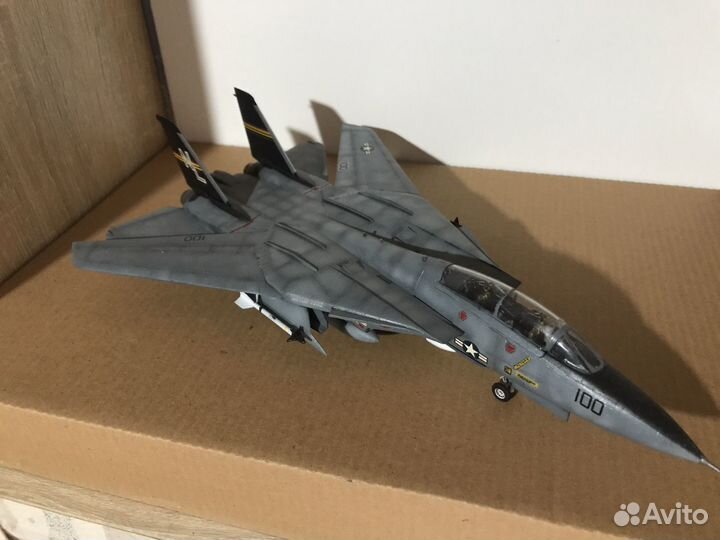 Модель самолета F-14