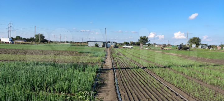 Участок 36 сот. (СНТ, ДНП)