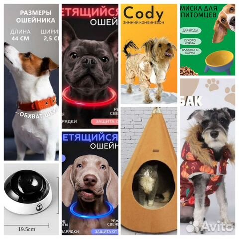 Одежда и товары для животных. Новые