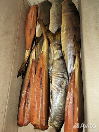 Рыба холодного копчения