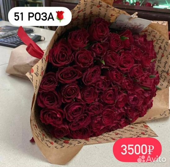 Розы Цветы Доставка Грозный