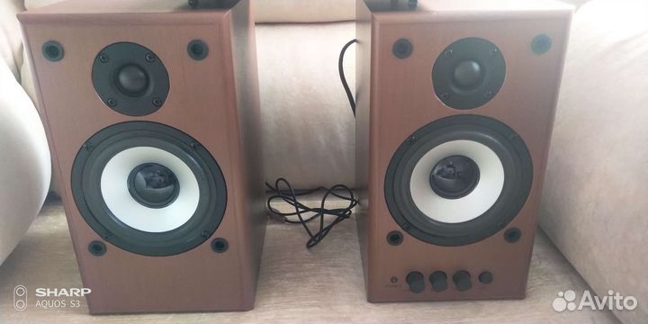 Активная акустика Dialoq