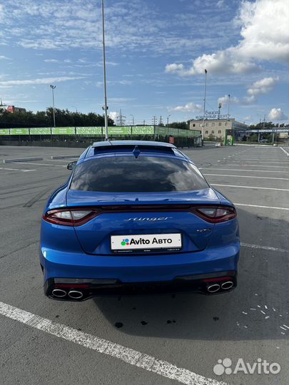 Kia Stinger 2.0 AT, 2019, 37 000 км