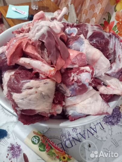 Козье мясо халяль, козлы упитанные