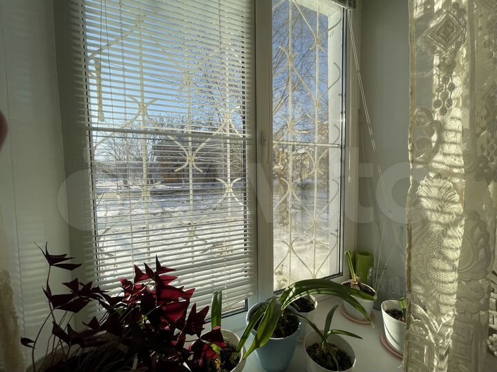 3-к. квартира, 74 м², 1/2 эт.