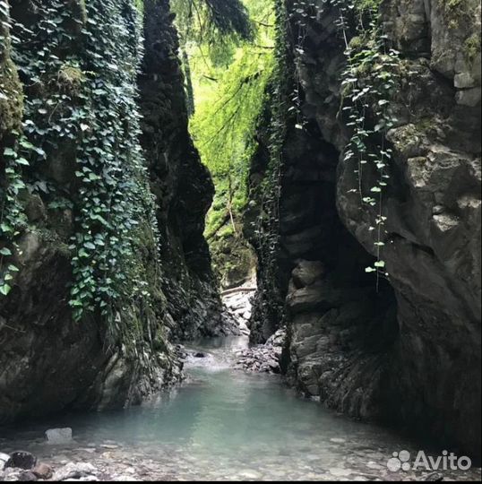 Джиппинг лазаревское