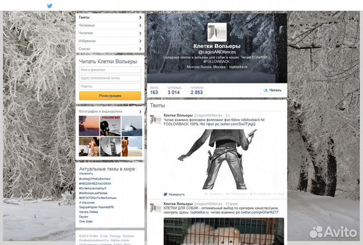 Доменное имя Topkletka.ru возраст 10 лет