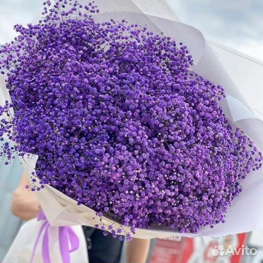 Гипсофила букет