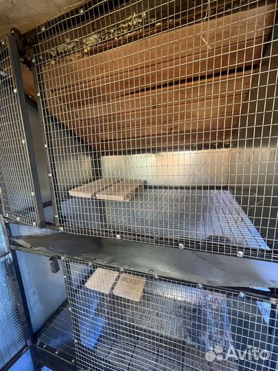 Клетки для кроликов