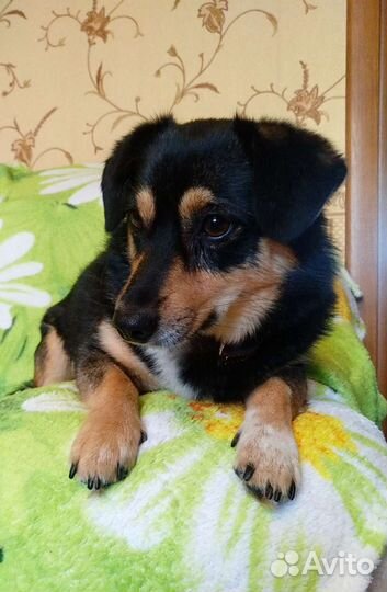 Великолепная мелкая девочка