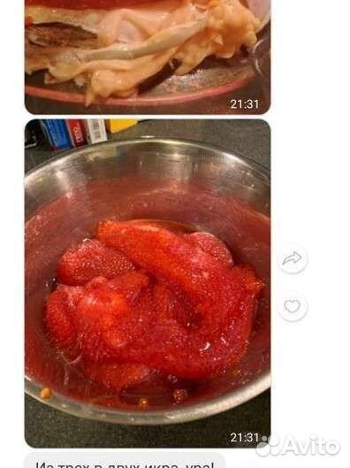 Форель охлажденная оптом