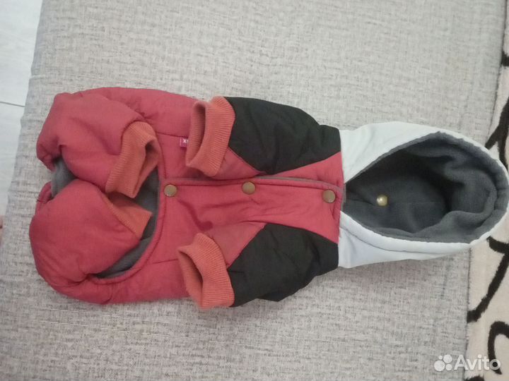 Зимний комбинезон для сабаки