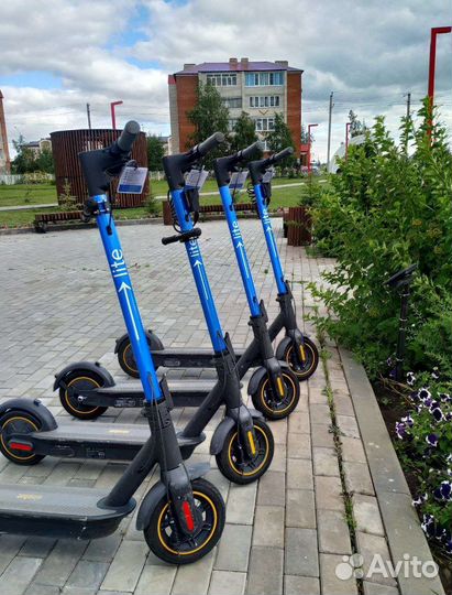 Ninebot g30 для шеринга (проката)