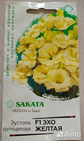 Эустома рассада