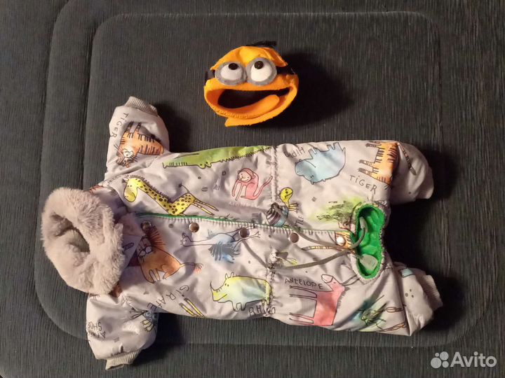 Корм для собак