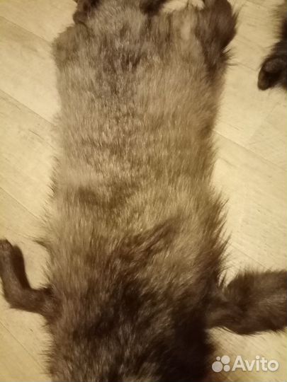 Шкурки чернобурки